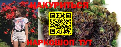 стаф Шахты
